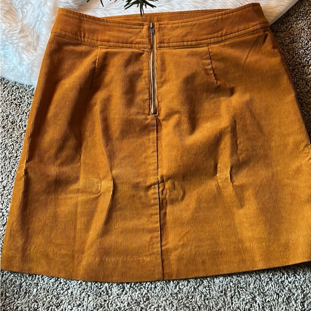 J crew Skirt